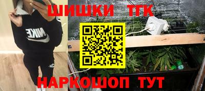 дмт Кингисепп