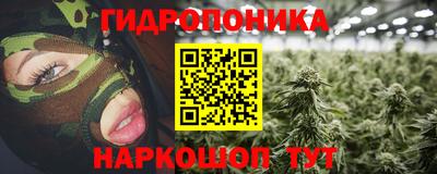 дмт Кингисепп