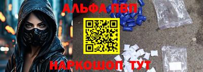 дмт Кингисепп