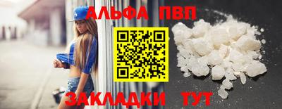 дмт Кингисепп